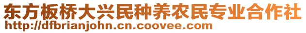 東方板橋大興民種養農民專業合作社