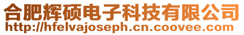 合肥輝碩電子科技有限公司