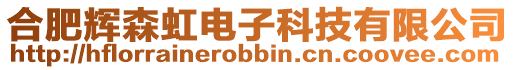 合肥輝森虹電子科技有限公司