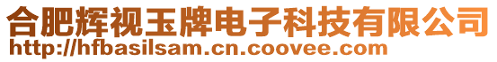 合肥輝視玉牌電子科技有限公司