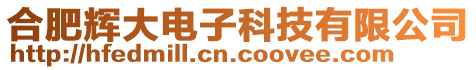 合肥輝大電子科技有限公司