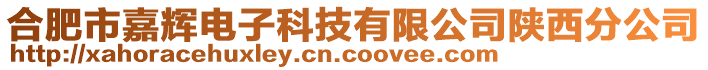合肥市嘉輝電子科技有限公司陜西分公司