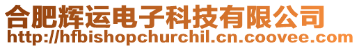合肥輝運電子科技有限公司