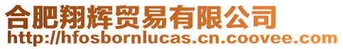 合肥翔輝貿易有限公司