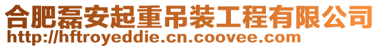 合肥磊安起重吊裝工程有限公司