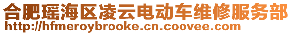 合肥瑤海區(qū)凌云電動車維修服務部