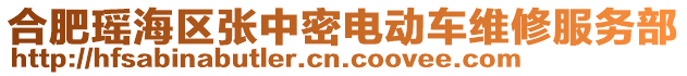 合肥瑤海區(qū)張中密電動車維修服務(wù)部