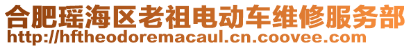 合肥瑤海區(qū)老祖電動車維修服務(wù)部