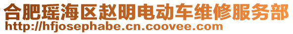 合肥瑤海區(qū)趙明電動車維修服務部