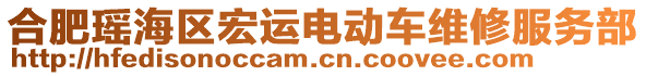 合肥瑤海區(qū)宏運電動車維修服務(wù)部