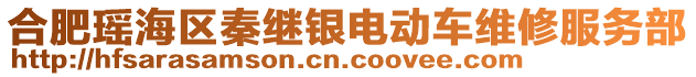 合肥瑤海區(qū)秦繼銀電動(dòng)車維修服務(wù)部