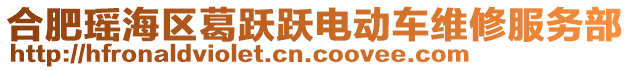 合肥瑤海區(qū)葛躍躍電動車維修服務部