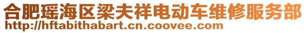 合肥瑤海區(qū)梁夫祥電動(dòng)車維修服務(wù)部