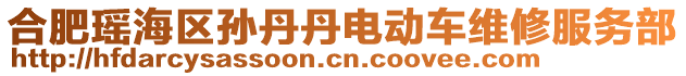 合肥瑤海區(qū)孫丹丹電動(dòng)車維修服務(wù)部