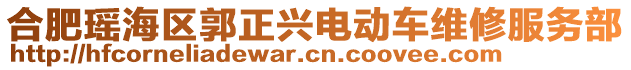 合肥瑤海區(qū)郭正興電動(dòng)車維修服務(wù)部