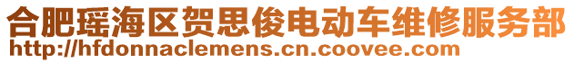 合肥瑤海區(qū)賀思俊電動(dòng)車維修服務(wù)部