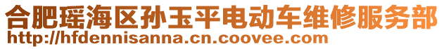合肥瑤海區(qū)孫玉平電動車維修服務部