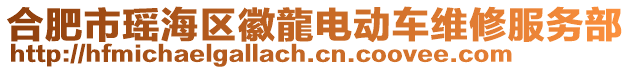 合肥市瑤海區(qū)徽龍電動車維修服務(wù)部