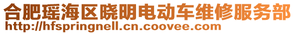 合肥瑤海區(qū)曉明電動(dòng)車維修服務(wù)部