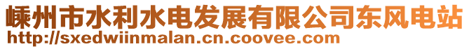 嵊州市水利水电发展有限公司东风电站