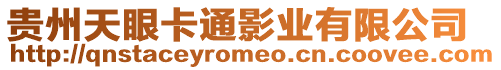 貴州天眼卡通影業有限公司