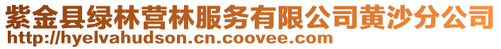 紫金縣綠林營林服務有限公司黃沙分公司