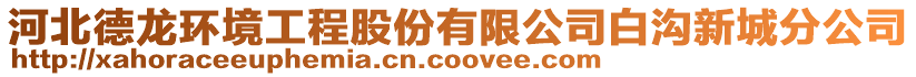 河北德龍環(huán)境工程股份有限公司白溝新城分公司