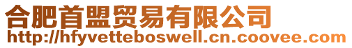 合肥首盟貿(mào)易有限公司