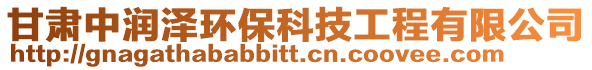 甘肅中潤澤環保科技工程有限公司