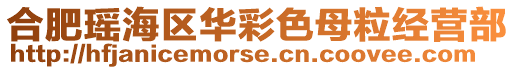 合肥瑤海區華彩色母粒經營部
