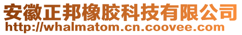 安徽正邦橡膠科技有限公司