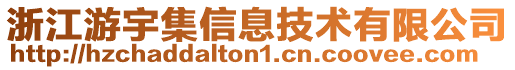 浙江游宇集信息技術有限公司