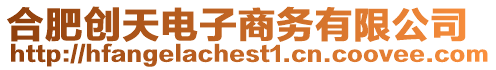 合肥創天電子商務有限公司