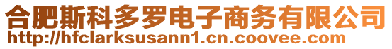 合肥斯科多羅電子商務有限公司