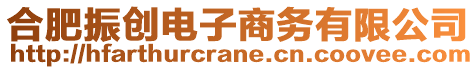 合肥振創(chuàng)電子商務(wù)有限公司