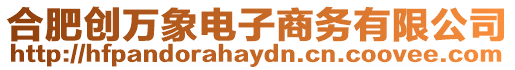 合肥創萬象電子商務有限公司
