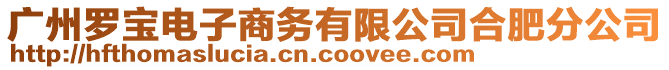 廣州羅寶電子商務有限公司合肥分公司