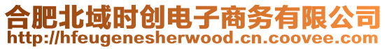 合肥北域時創(chuàng)電子商務有限公司
