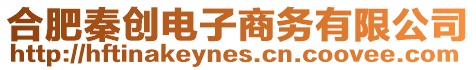 合肥秦創(chuàng)電子商務(wù)有限公司