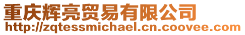 重慶輝亮貿(mào)易有限公司