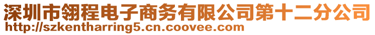 深圳市翎程電子商務(wù)有限公司第十二分公司