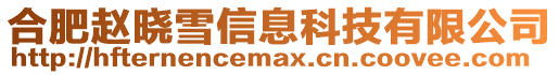 合肥趙曉雪信息科技有限公司