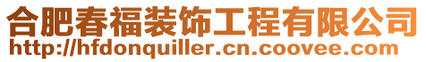 合肥春福裝飾工程有限公司