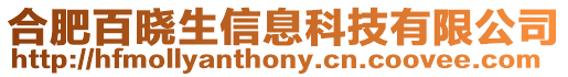 合肥百曉生信息科技有限公司