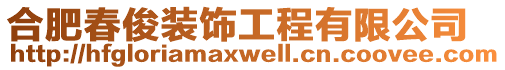合肥春俊裝飾工程有限公司