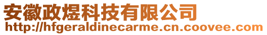 安徽政煜科技有限公司