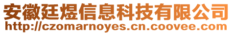 安徽廷煜信息科技有限公司