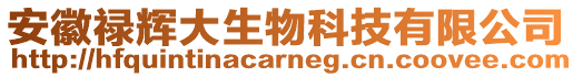安徽祿輝大生物科技有限公司