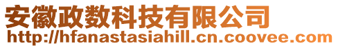 安徽政數科技有限公司