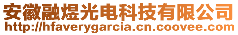 安徽融煜光電科技有限公司